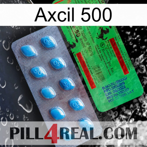 Axcil 500 new03.jpg